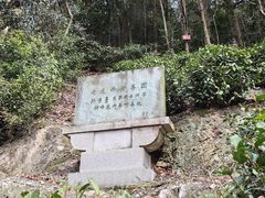 -十八棵（老龙井）御茶园(老龙井店)