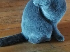 -爱侣宠医·鹦鹉专科·小型哺乳类·异宠专科(灵石路店)