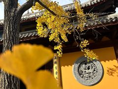 -龙华寺