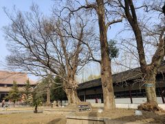 -苏州文庙(姑苏区)