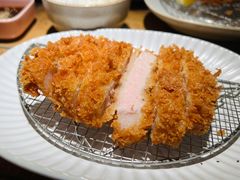 -山杏yama-katsu·吉列炸物
