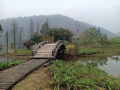 -南沙蒲洲花园