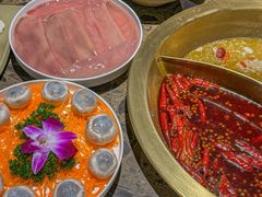 -小龙坎火锅(泉舜店)