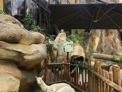 -杭州开元森泊度假乐园