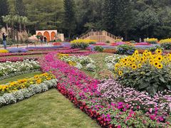-深圳仙湖植物园