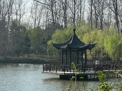 -合肥滨湖国家森林公园