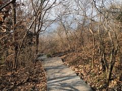 -紫金山山顶公园