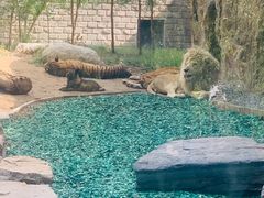 -北京野生动物园