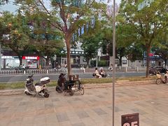 -簋街仔仔小龙虾(总店)