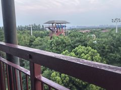 -上海玛雅海滩水公园