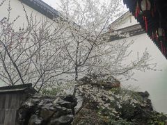 -胡雪岩故居