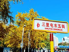 -三里屯东五街银杏大道