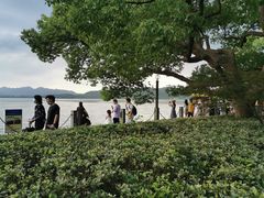 -西湖外事游船(湖滨二公园外事游船码头)