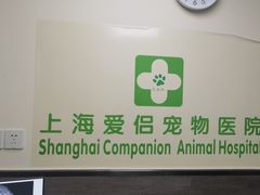 -爱侣宠医·鹦鹉专科·小型哺乳类·异宠专科(灵石路店)