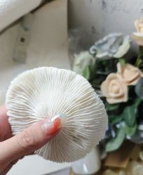 -Hands Nail专业美甲美睫