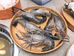 -海底捞大排档火锅(打浦路店)