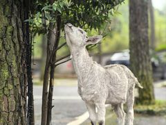 -小小饭店·休闲农庄·安吉松树林里的农家菜