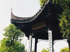 -鹅湖玫瑰文化园