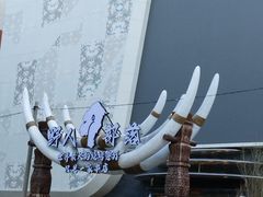 -野人部落(中街店)