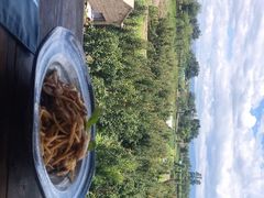-翠田Green Field Kitchen