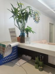 -艾美妈妈产后恢复·疼痛调理(六合龙池店)