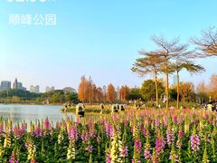 -顺峰山公园