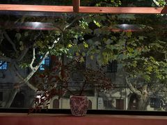 -毛辣果·酸(OHA复兴西路店)