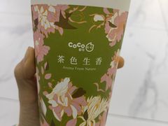 -CoCo都可(北苑K酷店)