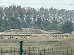 -溱湖国家湿地公园