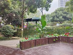 -二荆条·蜀鲜汇城市森林火锅