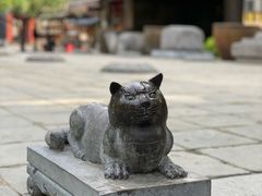 -西安大兴善寺