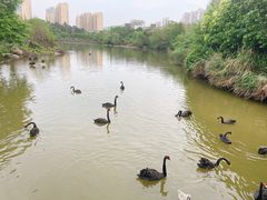 -南昌动物园