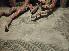 -张掖大佛寺景区