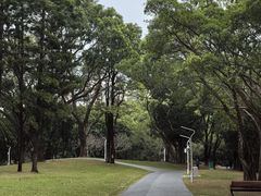 -人民公园(罗湖区)