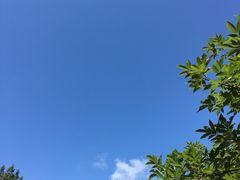 -北大荒人•新东北菜(青岛银座店)