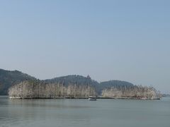 -东湖落雁景区