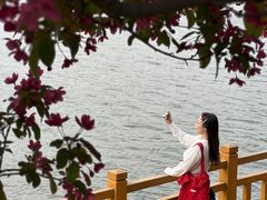 -长白岛森林公园