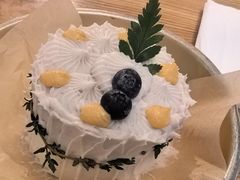 -野草莓自由市场