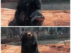 -昆明动物园