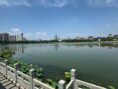 -莲花池公园