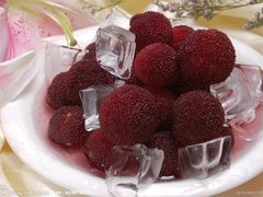 -蜜肆动物奶油蛋糕·个性定制·下午茶甜品
