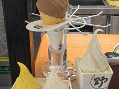 -野人先生Gelato(上海长宁龙之梦店)