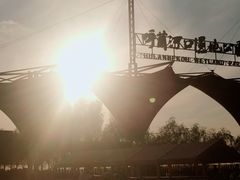 -呼兰河口湿地公园