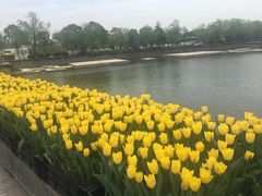 -上海鲜花港