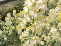 -中国天府农业博览园