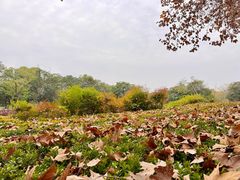 -白塘生态植物园