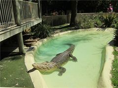 -费瑟代尔野生动物园