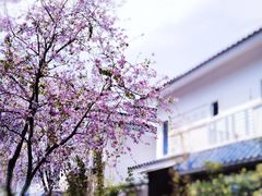 -中国科学院华南植物园