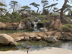 -罗红摄影艺术馆