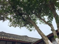 -恩阳古镇